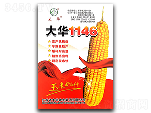 ���A1146-���׷N��-ꃉ����A