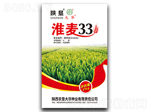 ����33-С���N��-ꃉ����A