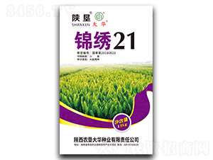 �\�C21-С���N��-ꃉ����A