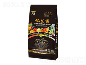 �VԴ��ֲ�������ЙC��-�|����-���(zh��n)-�x�S����