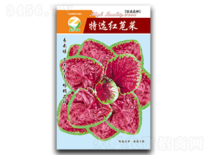 ���x�t�{��-�{�˷N��-�����r(n��ng)�I(y��)