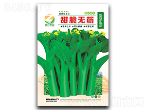 ����o��-�G���ķN��-�����r(n��ng)�I(y��)