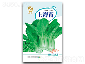 �Ϻ���N��-�����r(n��ng)�I(y��)