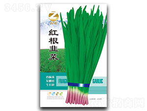 �t���²�-�²˷N��-�����r(n��ng)�I(y��)