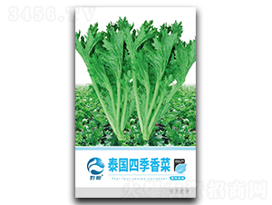 ̩���ļ���˷N��-�����r(n��ng)�I(y��)