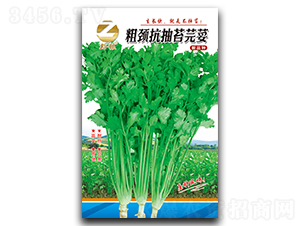 ���i����̦ܾݴ-��˷N��-�����r(n��ng)�I(y��)