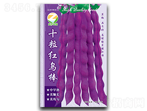 ʮ���t�B��-�����N��-�����r(n��ng)�I(y��)