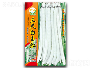 ���߰������N��-�����r(n��ng)�I(y��)