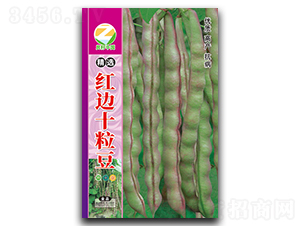 ���x�t߅ʮ����-�����N��-�����r(n��ng)�I(y��)