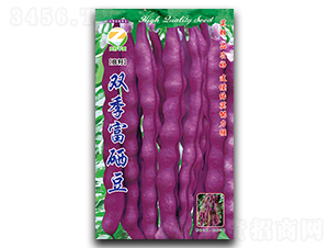 �p��������-�����N��-�����r(n��ng)�I(y��)