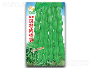 �p�������ⶹ-�����N��-�����r(n��ng)�I(y��)