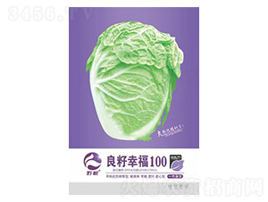 �ײ˷N��-�����Ҹ�100-�����r(n��ng)�I(y��)