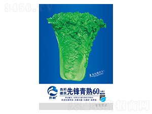 �ײ˷N��-���h����60-�����r(n��ng)�I(y��)