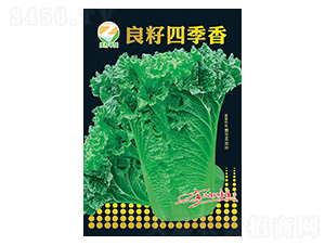 �ײ˷N��-�����ļ���-�����r(n��ng)�I(y��)