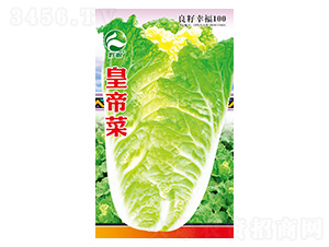 �ײ˷N��-�����r(n��ng)�I(y��)