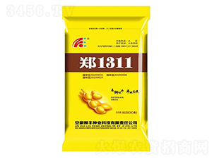 ��1311�󶹷N��-���S�N�I(y��)