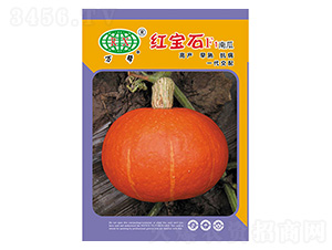 �t��ʯ-�f��N�I(y��)