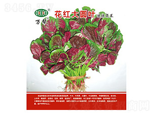 ���t��A�~�{�˷N��-�f��N�I(y��)