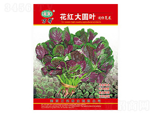 ���t��A�~�����{�˷N��-�f��N�I(y��)