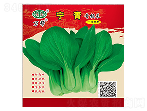 �����๣�˷N��-�f��N�I(y��)