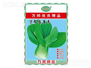 �f��ʢ�����๣��-�f��N�I(y��)