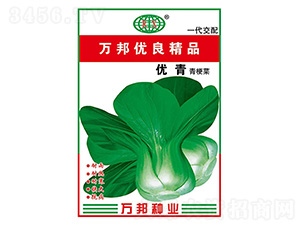 �๣�˷N��-��(y��u)��-�f��N�I(y��)