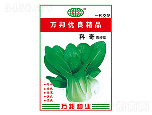 �����๣�˷N��-�f��N�I(y��)