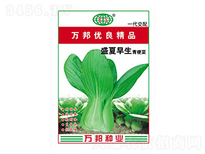 ʢ�������๣�˷N��-�f��N�I(y��)