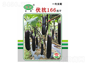 ����166����-���ӷN��-�f��N�I(y��)