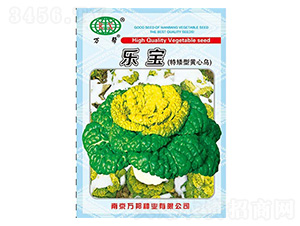 �������ذ����S�Ğ��������˷N��-�f��N�I(y��)