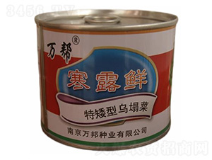 ��¶�r�ذ��͞�����-�����˷N��-�f��N�I(y��)