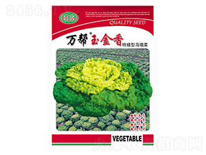 �f��������ذ��͞�����-�����˷N��-�f��N�I(y��)