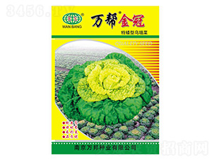 �f�ͽ���ذ��͞�����-�����˷N��-�f��N�I(y��)