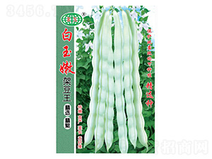 �����ۼܶ����ļ����N��-�f��N�I(y��)