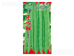 �_�����ļ����N��-�f��N�I(y��)