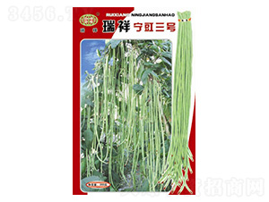 ���錎����̖�����N��-�f��N�I(y��)