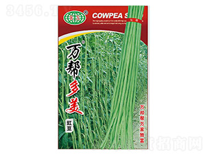 �f�Ͷ��������N��-�f��N�I(y��)