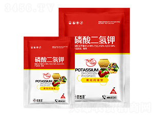 ���W���ʹ�������-���ׁ�