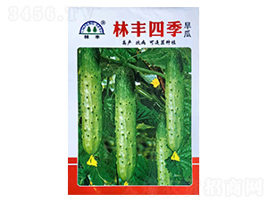 ���S�ļ�����-�S�ϷN��-���S�N��