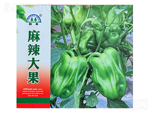 �������-�����N��-���S�N��