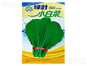 �G�~С�ײ�-�ײ˷N��-���S�N��