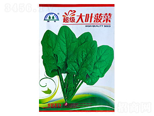 ����(j��)���~����-���˷N��-���S�N��