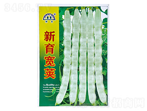 �������v-�|���N��-���S�N��