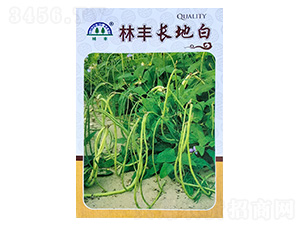 �L�ذ�-�����N��-���S�N��