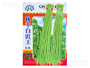 �������L�v-�����N��-���S�N��