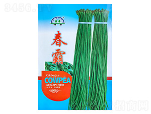 ����-�����N��-���S�N��