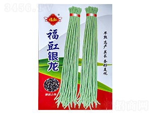 �����y��-�����N��-���S�N��