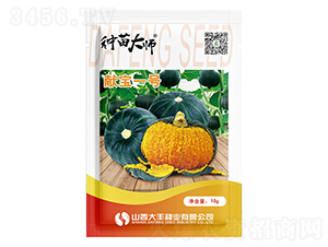 �I��һ̖-�ϹϷN��-���S�N�I(y��)