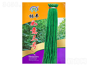 ������̖-�����N��-���S�N��