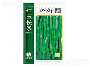 �t���L�l-�ܶ��N��-���S�N�I(y��)